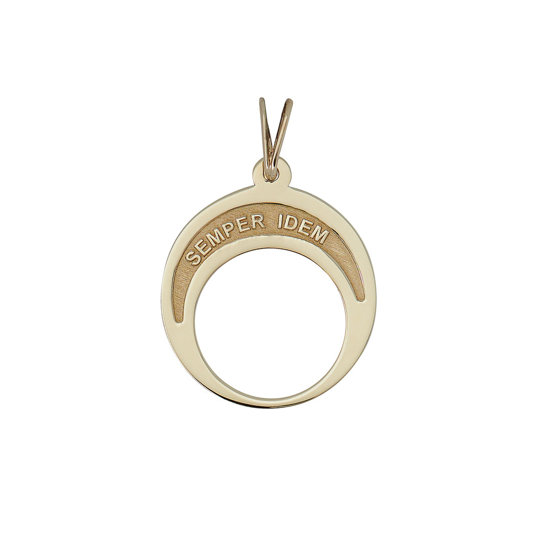 Latin Quote Medallion