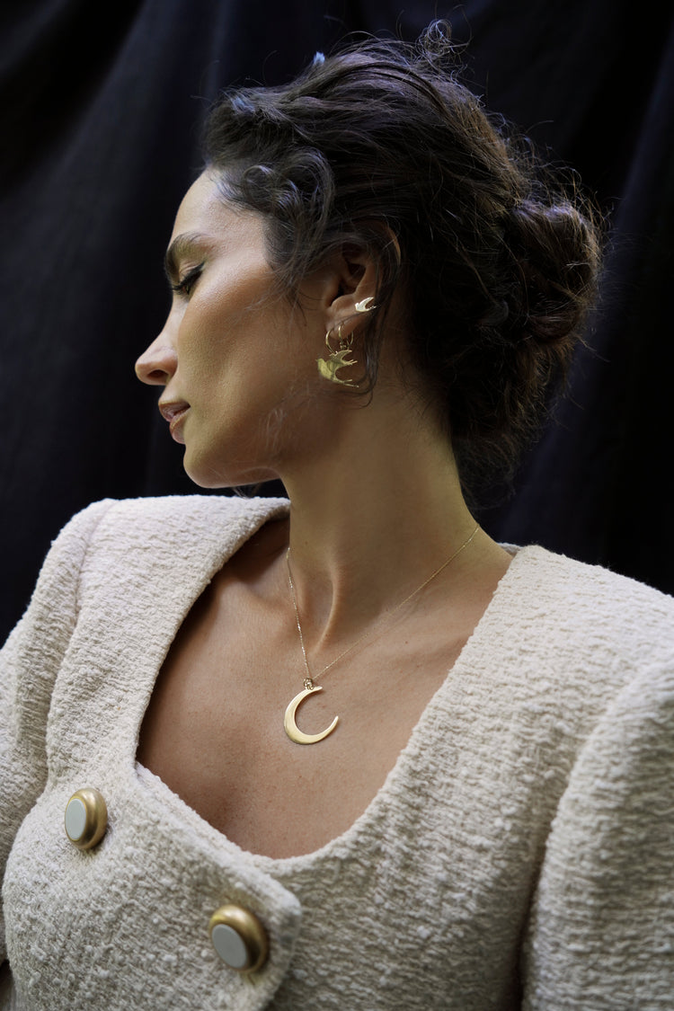 Crescent Moon&The sun Symbol